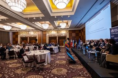 WHO a krajiny V4, Rumunska a Moldavska diskutovali o pomoci ukrajinským odídencom